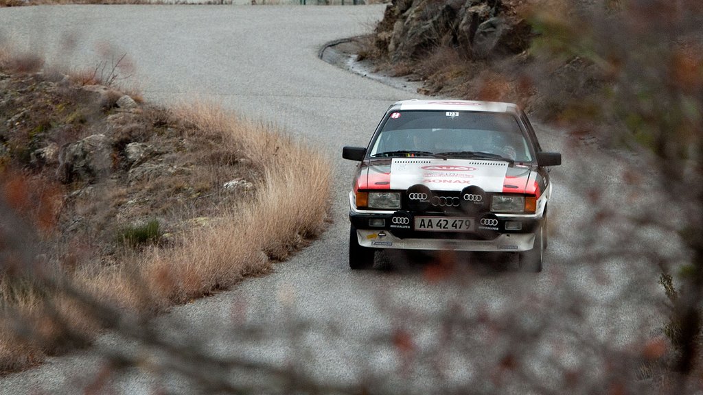Toni Hansen og Per Brodersen kørte et perfekt Monte i 2017, og lå længe i top 3
(Foto: Viggo Johansen)